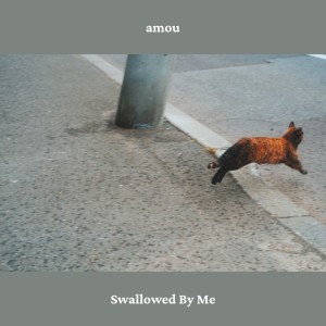 Amou的专辑Swallowed By Me