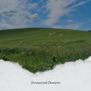 ดาวน์โหลดและฟังเพลง Driving Authorization พร้อมเนื้อเพลงจาก Sune Avto