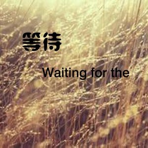 收聽牟茗的等待歌詞歌曲