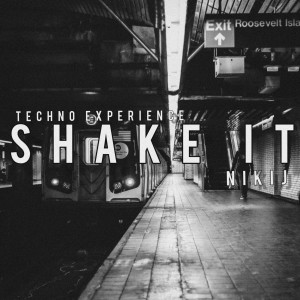 ดาวน์โหลดและฟังเพลง Shake It พร้อมเนื้อเพลงจาก NIKI J