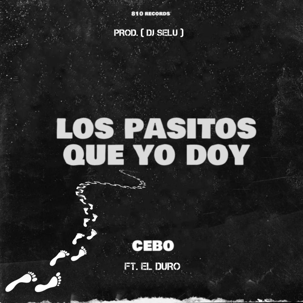 LOS PASITOS QUE YO DOY (feat. EL DURO) (Explicit)