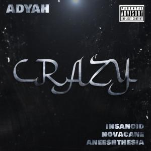 Album Crazy (feat. Insanoid & Novacane) (Remix) (Explicit) oleh NovaCane