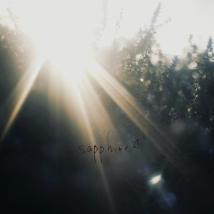 收聽hitoriyoburanko的Veronica (solo ver.)歌詞歌曲