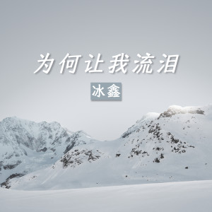 Album 为何让我流泪 from 冰鑫