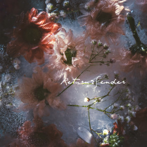 收聽Alejandro Aranda的Return2Sender歌詞歌曲