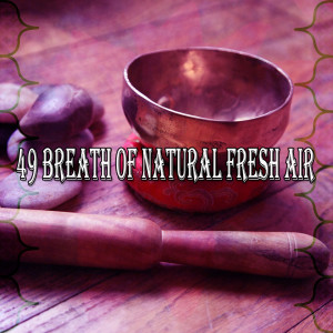 Dengarkan Fresh Minded lagu dari Meditation dengan lirik