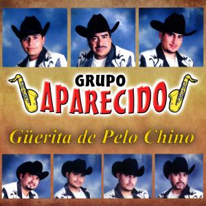 收聽Grupo Aparecido的Galleros Potosinos歌詞歌曲