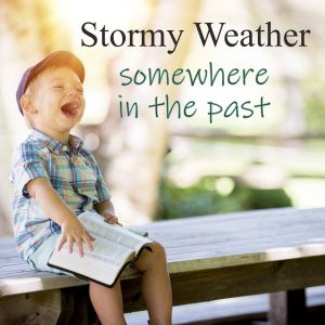 Stormy Weather的專輯Somewhere in the Past (Live)