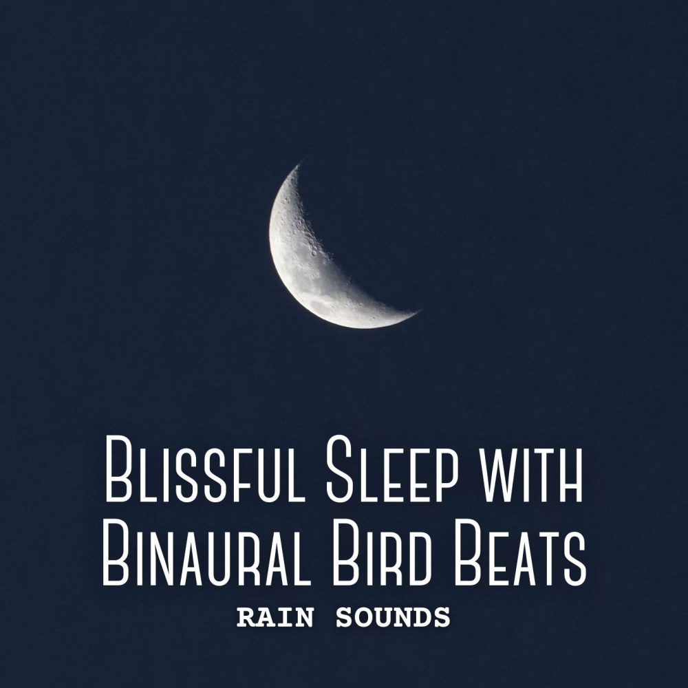 Euphoric Birds at Twilight