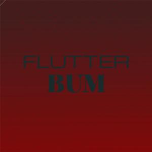 Various的专辑Flutter Bum