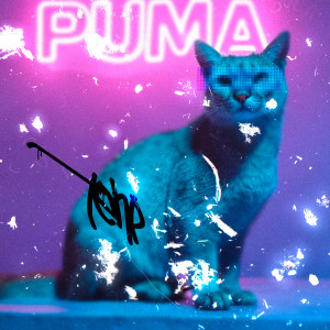 收听ТЕНЬ的Puma歌词歌曲
