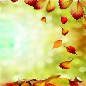 Dengarkan 草原男子汉 lagu dari 李晓东 dengan lirik