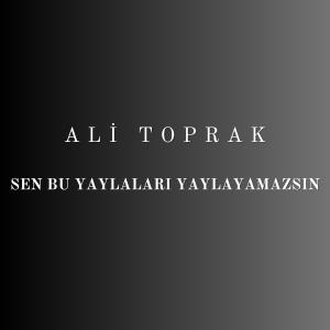 Listen to Sen Bu Yaylaları Yaylayamazsın song with lyrics from Ali Toprak