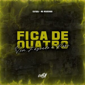 Album Fica de Quatro e Vem Fazendo a Pose (Explicit) from 