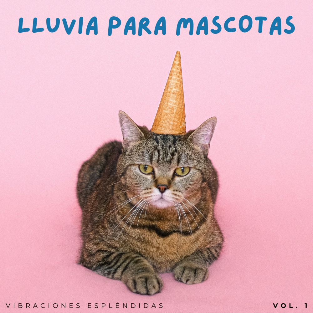 Dormir De Un Tirón Con Lluvia Suave