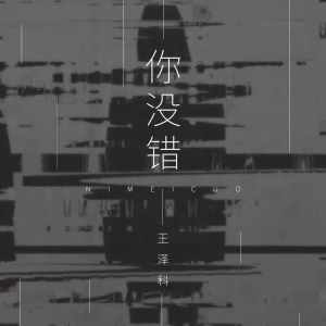 收聽王澤科的你沒錯歌詞歌曲