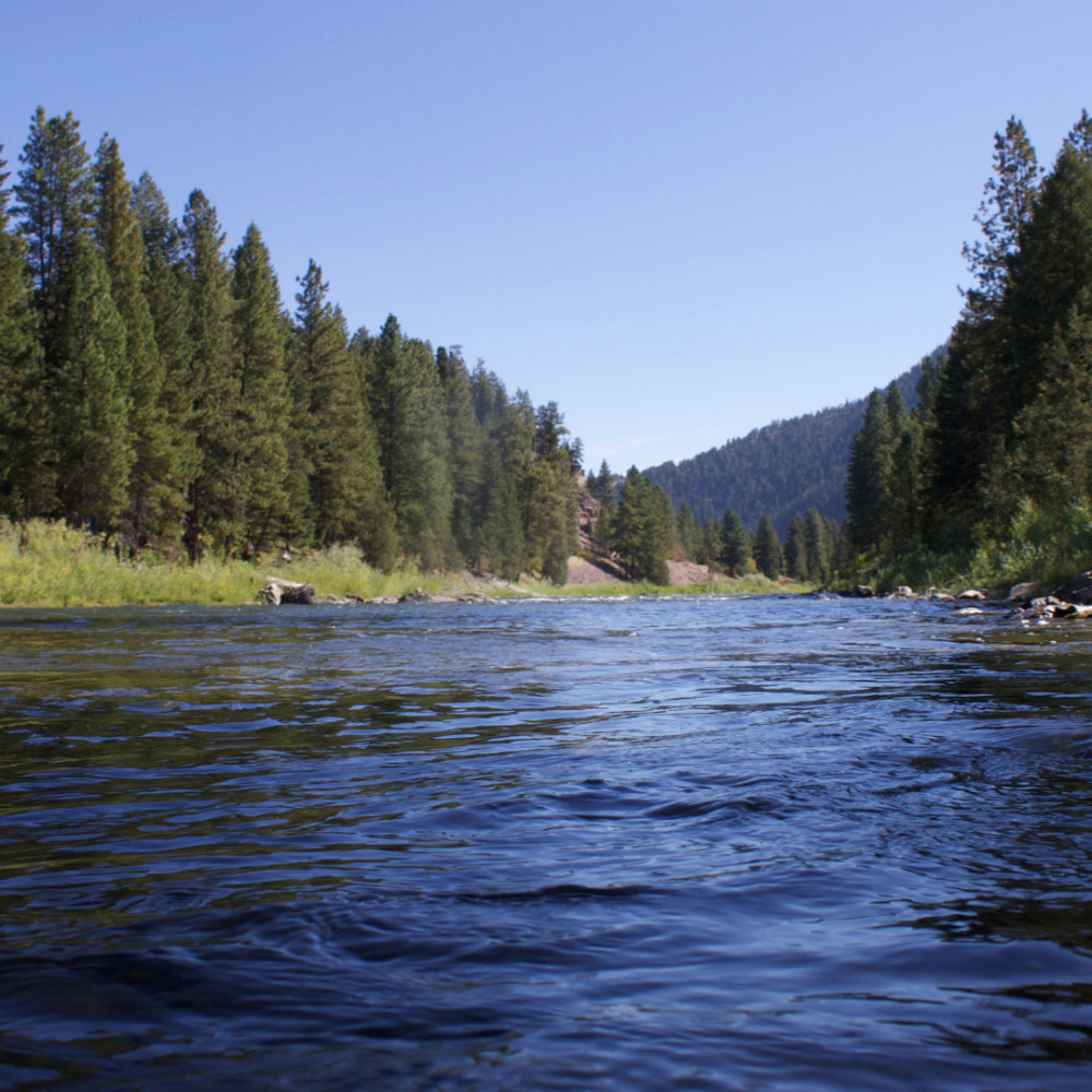 Harmony of Streamside Notes