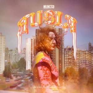 ดาวน์โหลดและฟังเพลง El Último Brindis พร้อมเนื้อเพลงจาก Ninja