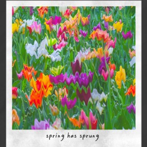 Listen to spring has sprung song with lyrics from cmj