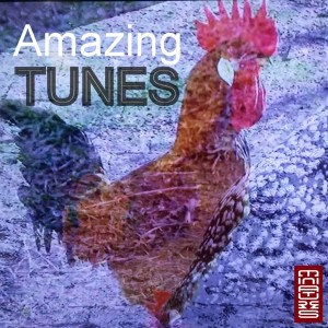 Album Amazing Tunes oleh Various Artists