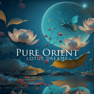 Album Pure Orient (Lotus Dreams, Dreamlike Asian Music for Meditation, Sleep, Light Yoga Training) from Asian Music Sanctuary