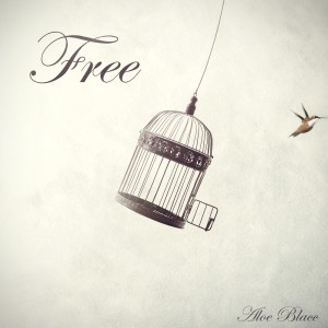 Listen to Free song with lyrics from Aloe Blacc
