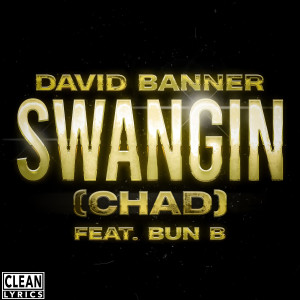 อัลบัม Swangin (Chad) ศิลปิน David Banner