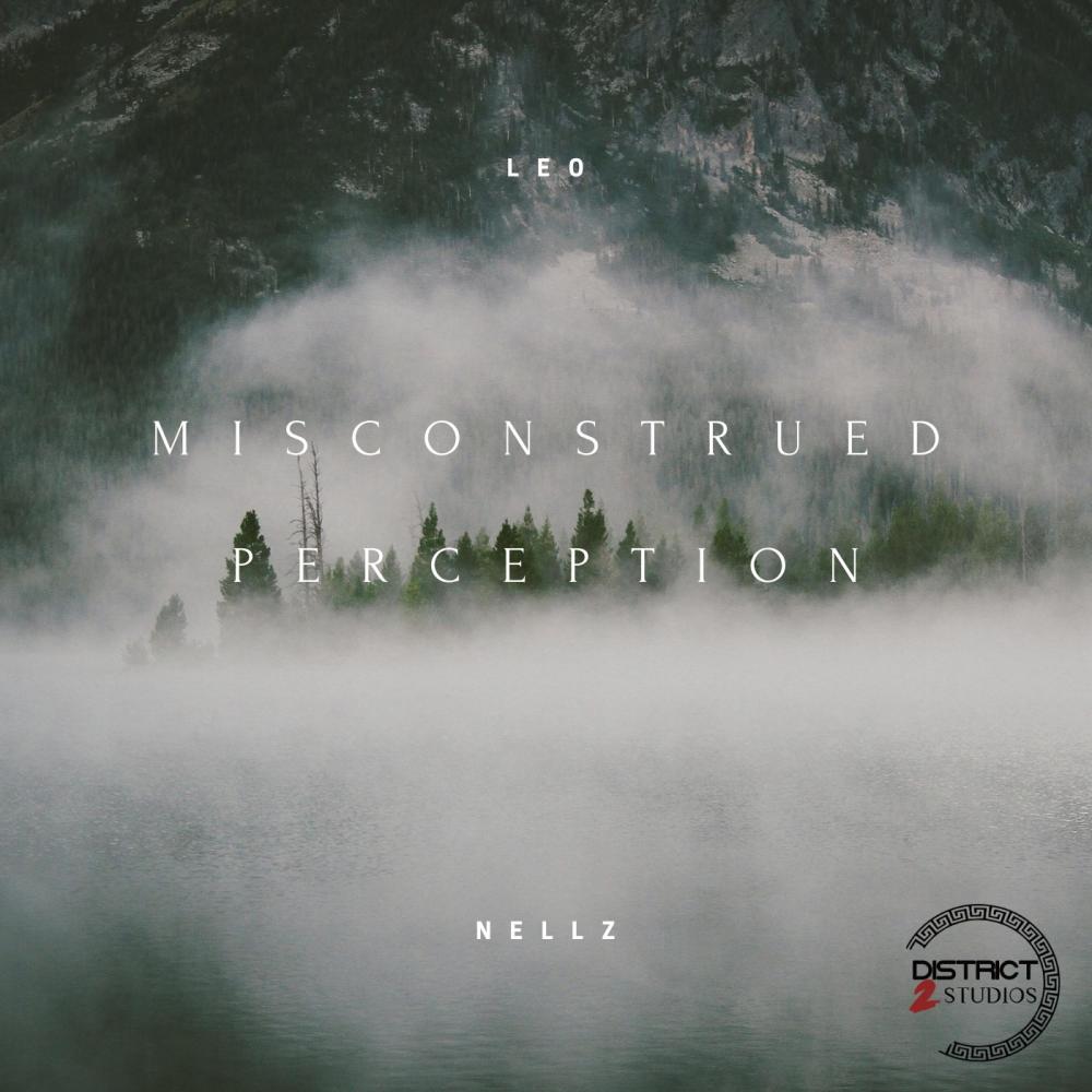 MISCONSTRUED PERCEPTION (Explicit)