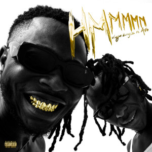Album Hmmm (Explicit) from Vuga Kvngz