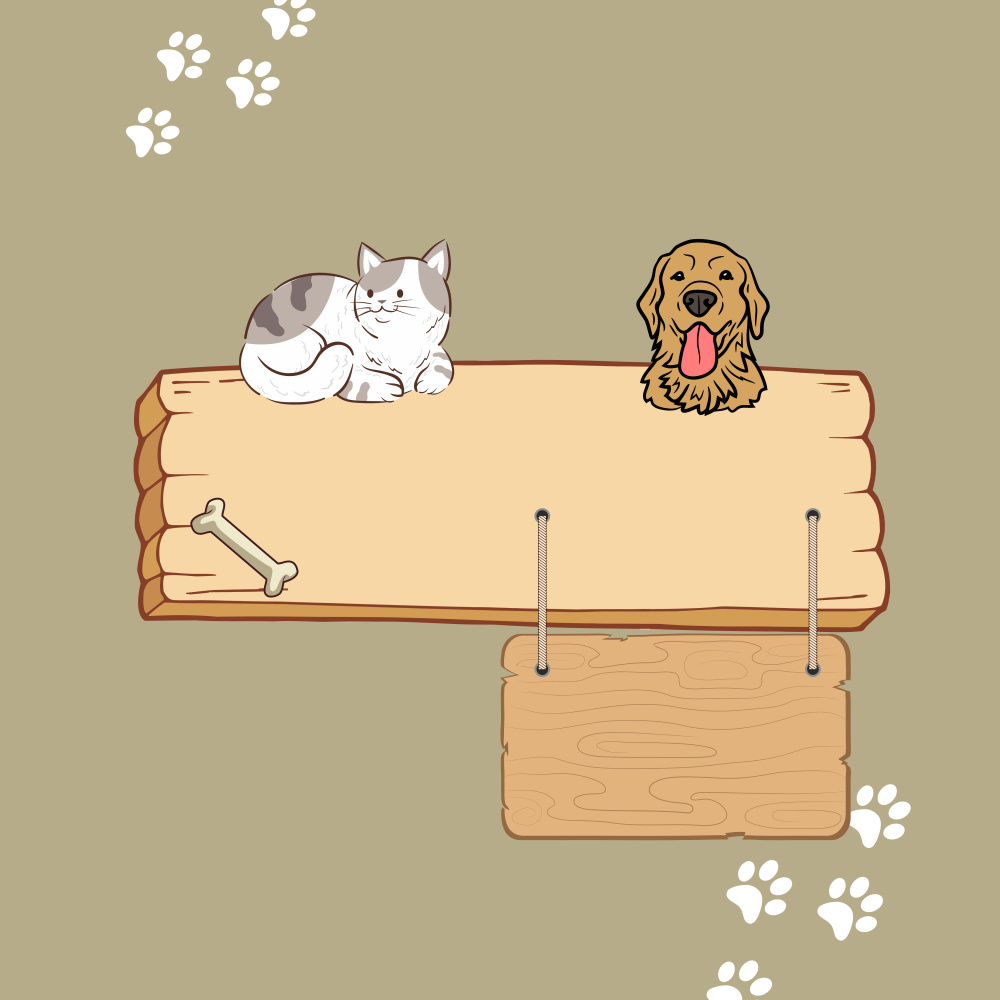 Silent Moons Cat Music