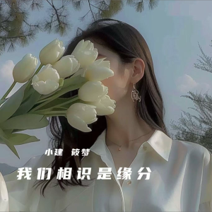 Listen to 我们相识是缘分 (完整版) song with lyrics from 䒕孃孃