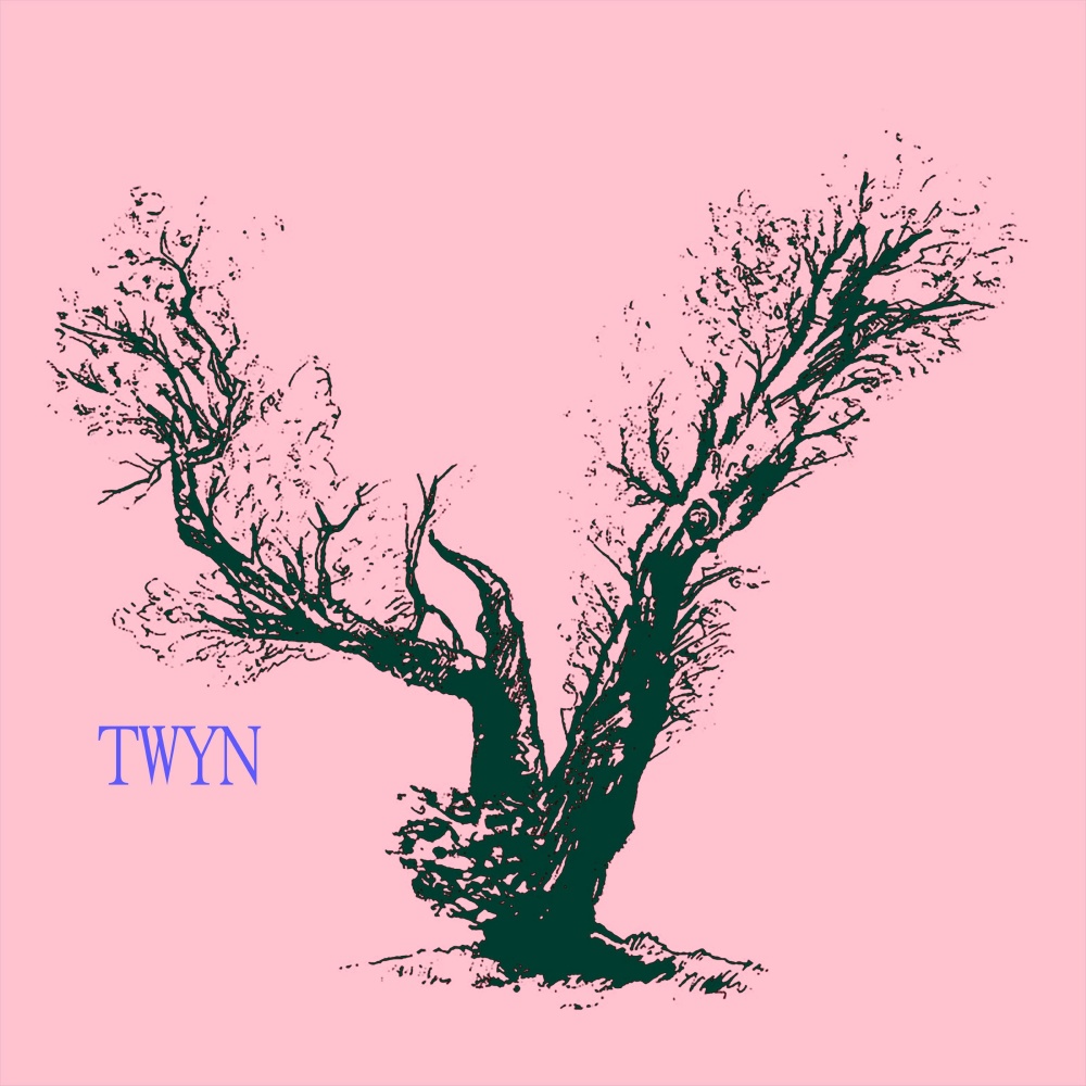 Salma (Anthem) (TWYN Remix)
