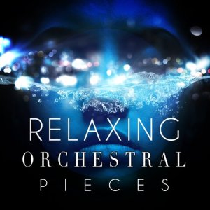ดาวน์โหลดและฟังเพลง Violin Concerto in D Major, Op. 77: I. Allegro non troppo พร้อมเนื้อเพลงจาก Jascha Heifetz