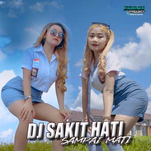 Raffa Affar的专辑DJ Sakit Hati Sampai Mati (Raffa Affar)