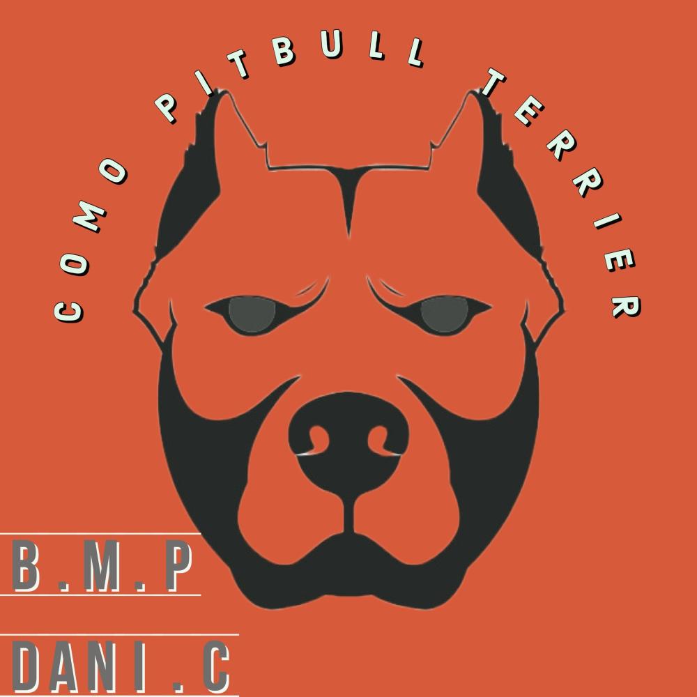 COMO PITBULL TERRIER (feat. dani.c lcdb) (Explicit)