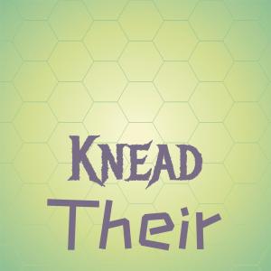 อัลบัม Knead Their ศิลปิน Various