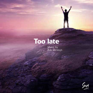 Listen to Too Late song with lyrics from Rob Versluys