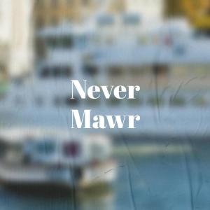 Album Never Mawr from Various