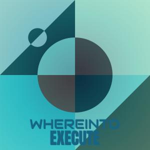 Various Artists的專輯Whereinto Execute