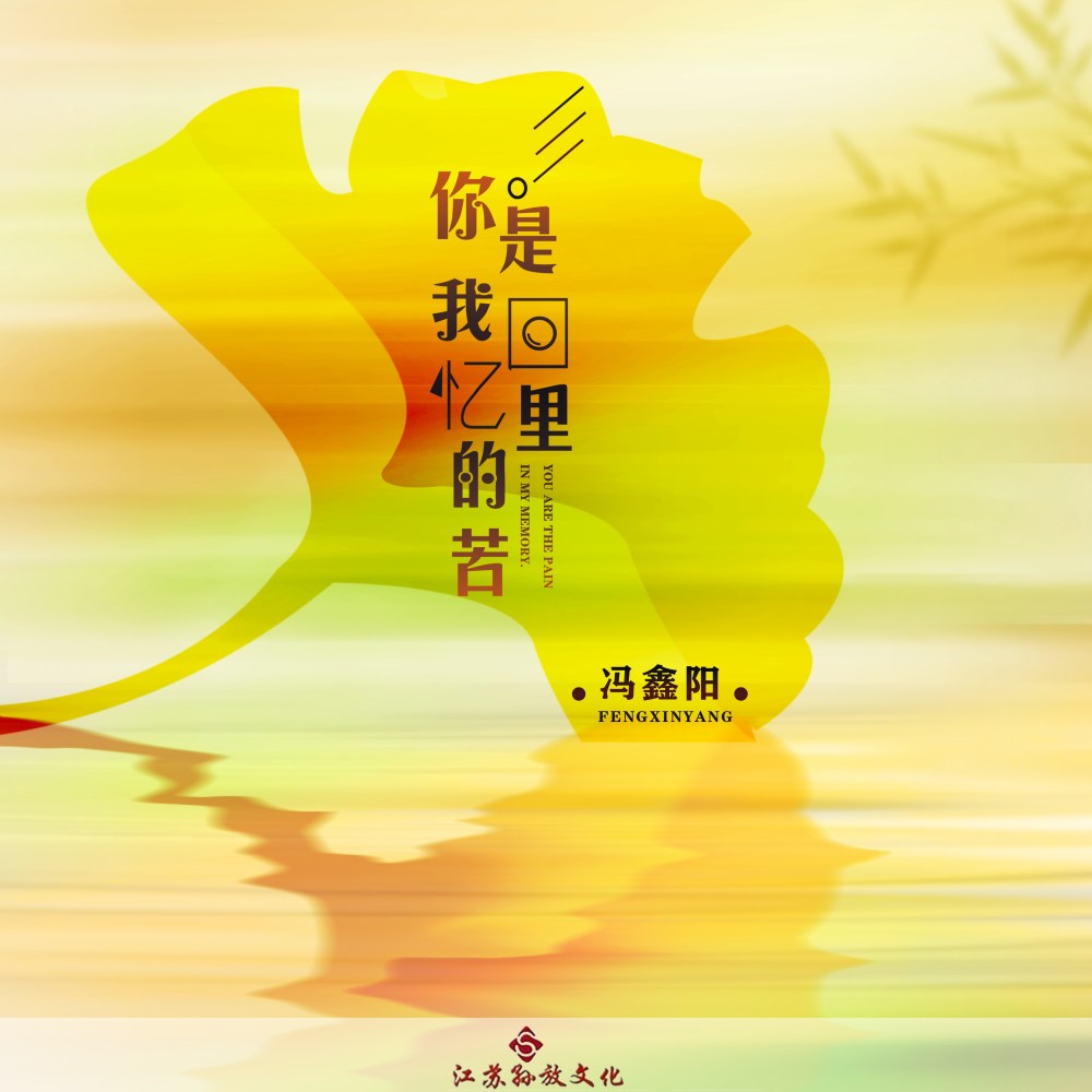你是我回忆里的苦 (DJ版伴奏)