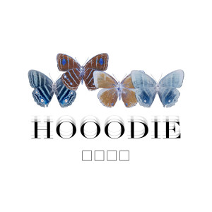 Dengarkan Hooodie lagu dari Hooodie dengan lirik