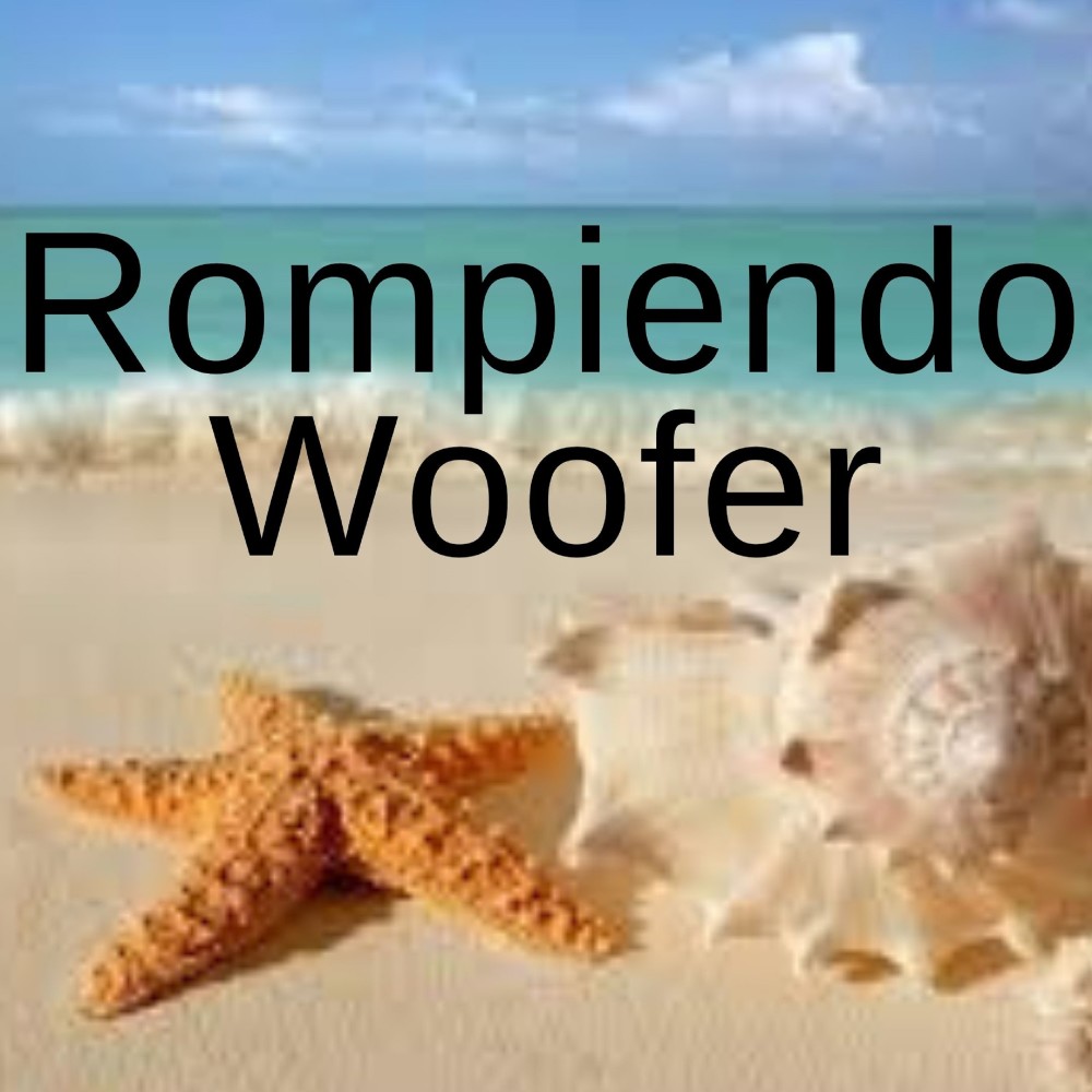 Rompiendo Woofer