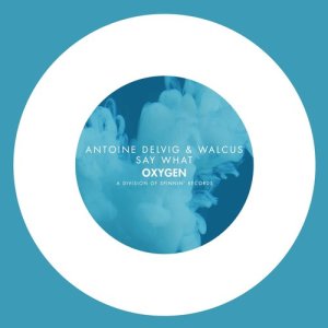 ดาวน์โหลดและฟังเพลง Say What พร้อมเนื้อเพลงจาก Antoine Delvig