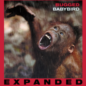 Babybird的專輯Bugged (Expanded)