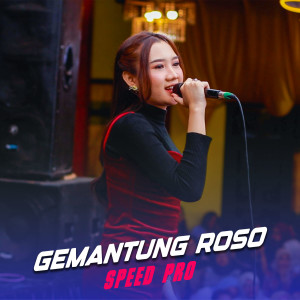 Album Gemantung Roso from Speed Pro