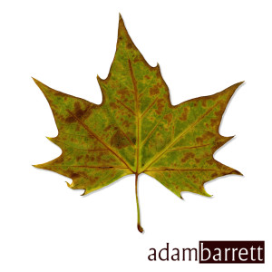 ดาวน์โหลดและฟังเพลง Everybody Wants to Rule the World พร้อมเนื้อเพลงจาก Adam Barrett
