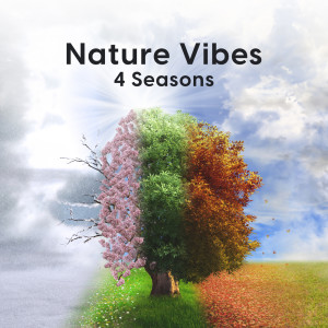 Album Nature Vibes (4 Seasons) oleh Calm Ocean Sounds