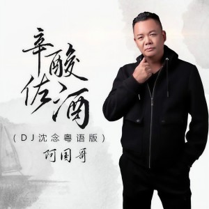 收聽阿國哥的辛酸佐酒 (DJ沈念粵語版)歌詞歌曲