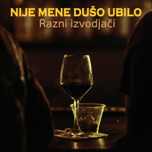 收聽Dzej的Nije mene dušo ubilo (Live)歌詞歌曲