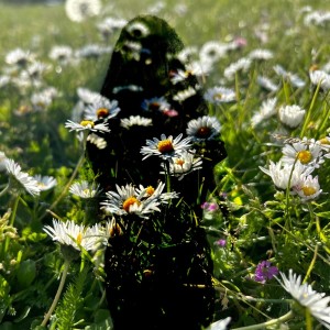 收听Sharan的Tonight歌词歌曲